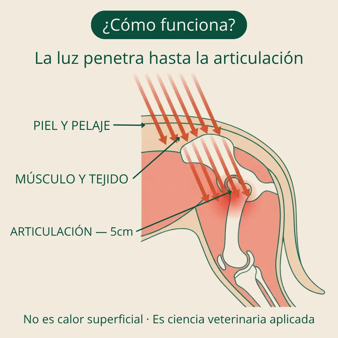 Vetalux™