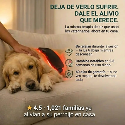 Vetalux™ — Deja de Verlo Sufrir Dale Alivio Real