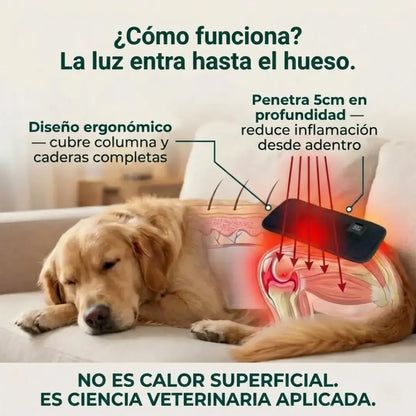 Vetalux™ — Deja de Verlo Sufrir Dale Alivio Real