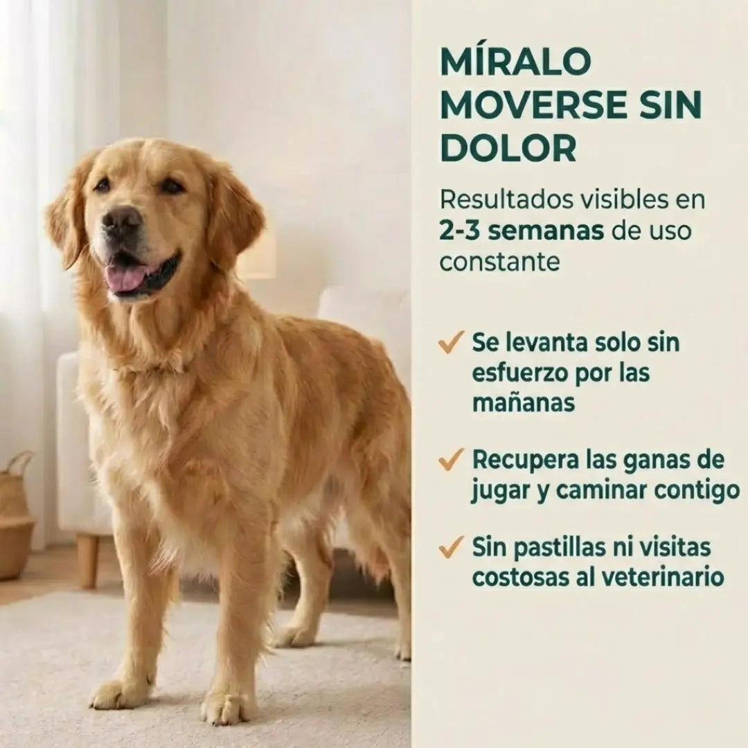 Vetalux™ — Deja de Verlo Sufrir Dale Alivio Real