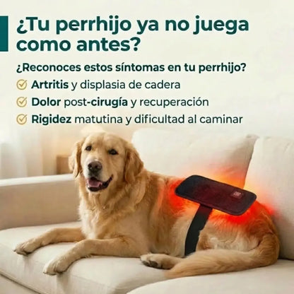 Vetalux™ — Deja de Verlo Sufrir Dale Alivio Real