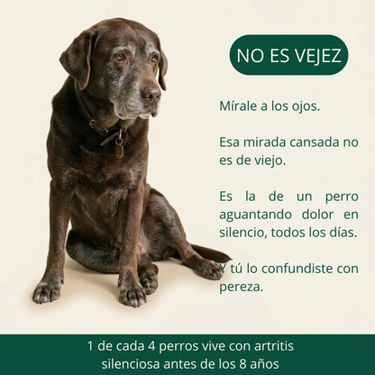 Vetalux™