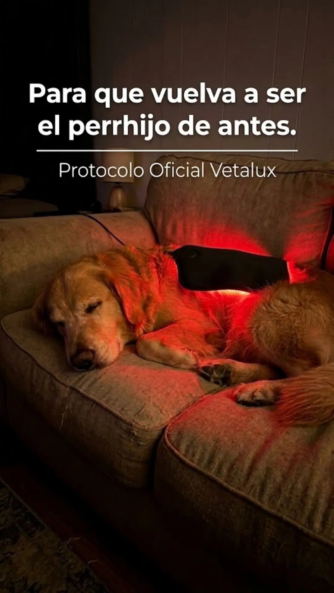 📋 Protocolo Vetalux 30 días — GRATIS