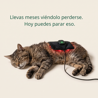 Llevas meses viéndolo perderse. Hoy puedes parar eso.