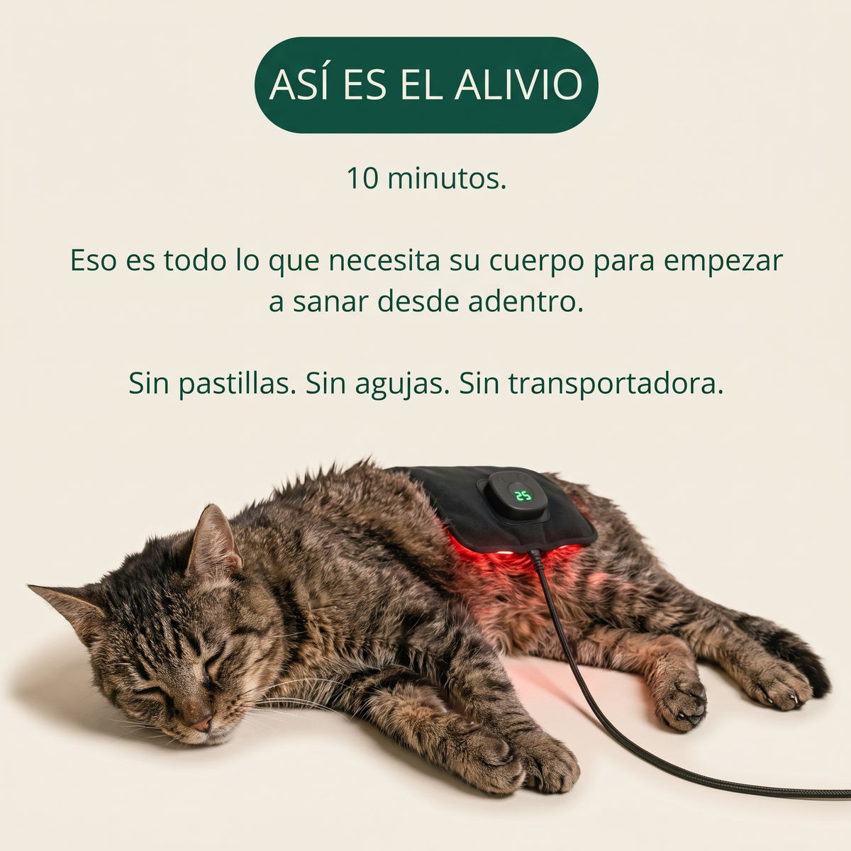 Así es el alivio: 10 minutos, sin pastillas, sin agujas, sin transportadora.