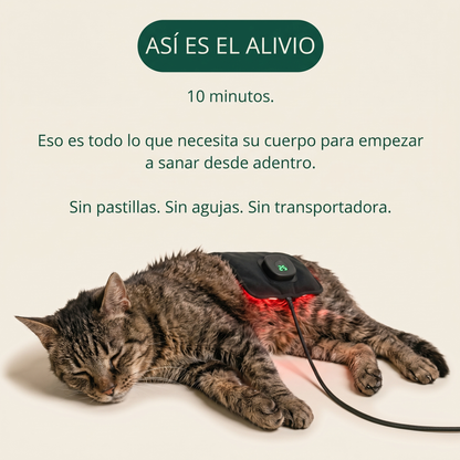 Así es el alivio: 10 minutos, sin pastillas, sin agujas, sin transportadora.