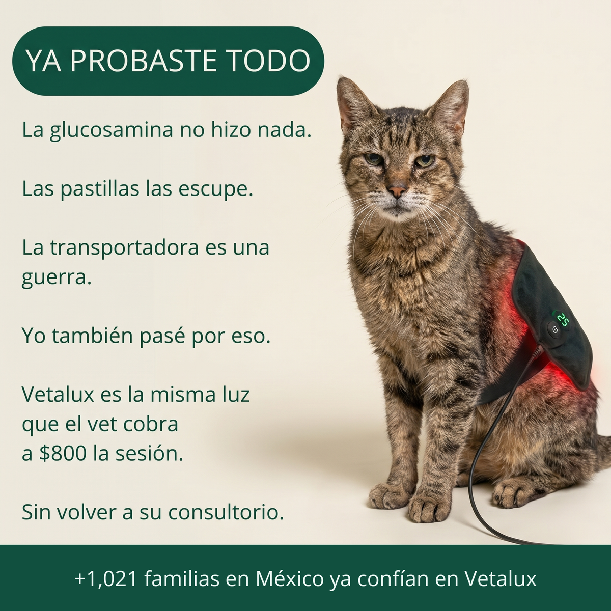 Ya probaste todo. Vetalux es la misma luz que el vet cobra a $800 la sesión.