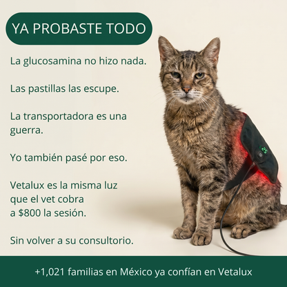 Ya probaste todo. Vetalux es la misma luz que el vet cobra a $800 la sesión.